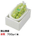 ぶどう 瀬戸ジャイアンツ 赤秀 700g×1房 岡山県産 JAおかやま 葡萄 ブドウ