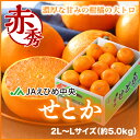 せとか　　愛媛県産　JAえひめ中央　中島選果場 　 赤秀 2L〜Lサイズ　 約5kg 　みかん ギフト 贈り物　送料無料