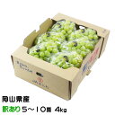 お中元 ぶどう シャインマスカット 晴王 風のいたずら ちょっと訳あり 5~10房 4kg 岡山県産 葡萄 ブドウ ギフト お取り寄せ