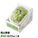 お中元 ぶどう シャインマスカット 晴王 風のいたずら ちょっと訳あり 600g×1房 岡山県産 葡萄 ブドウ ギフト お取り寄せ