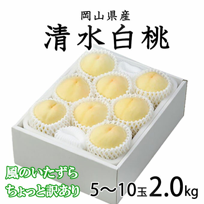 お中元 桃 清水白桃 ちょっと訳あり 5〜10玉 2.0kg 岡山県産 夏ギフト もも モモ はくとう 白桃