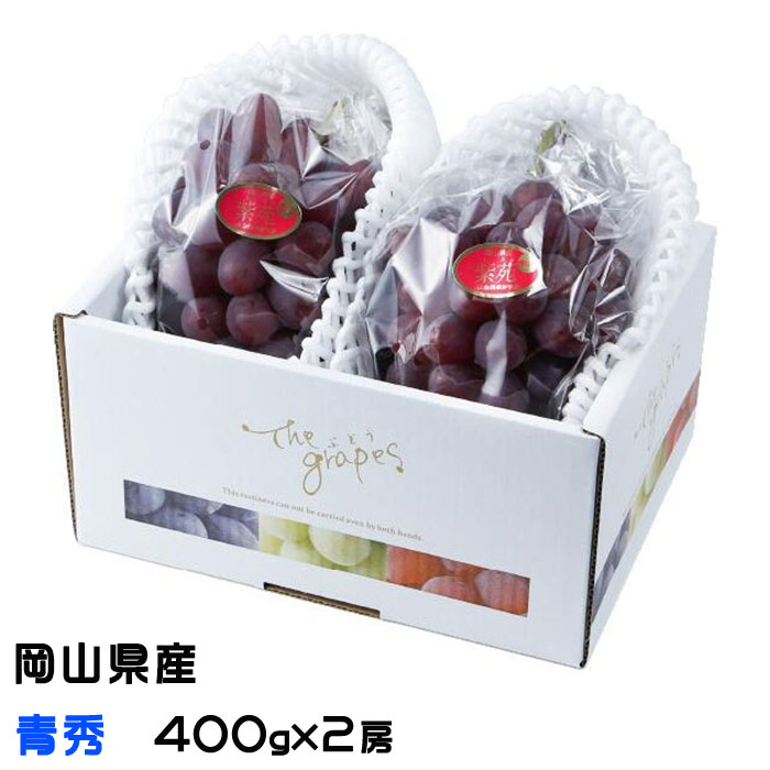 お歳暮 ぶどう 紫苑 しえん 青秀 400g×2房 岡山県産 JAおかやま 葡萄 ブドウ