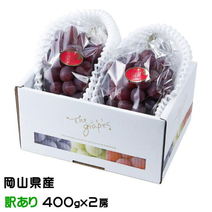 ぶどう 紫苑 しえん 風のいたずら ちょっと訳あり 400g×2房 岡山県産 JAおかやま 葡萄 ブドウ