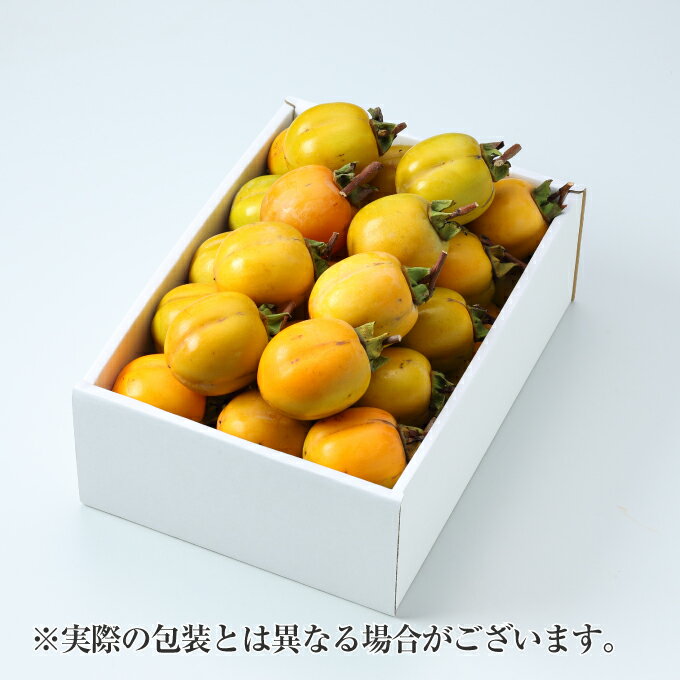 西条柿 渋柿 干し柿用セット 枝付き 説明書 吊るし紐付き 秀品 Lサイズ 2.5kg 岡山県産 島根県産