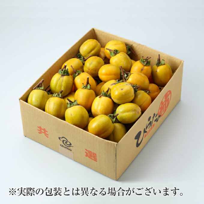西条柿 渋柿 干し柿用セット 枝付き 説明書 吊るし紐付き 秀品 Mサイズ 7kg 岡山県産 島根県産のサムネイル