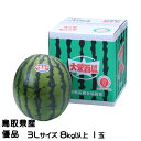 すいか 特大玉スイカ 優品 3Lサイズ 8kg以上 1玉 鳥取県 大栄町産 スイカ 西瓜 お中元