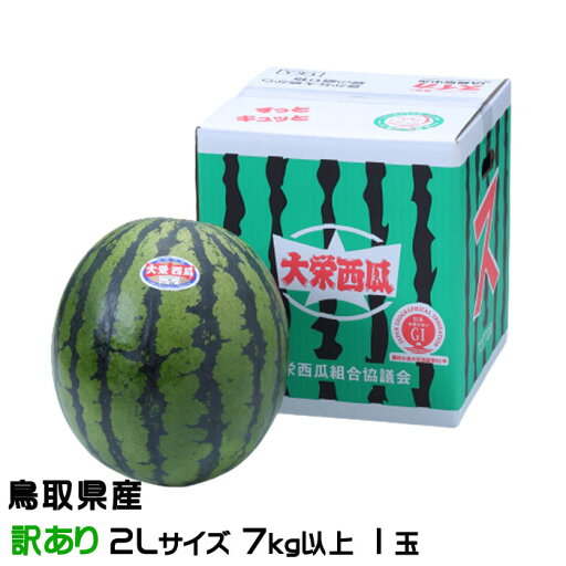 すいか 特大玉スイカ 風のいたずら ちょっと訳あり 2Lサイズ 7kg 1玉 鳥取県 大栄町産 スイカ 西瓜 お中元 父の日 すいか 特大玉スイカ 風のいたずら ちょっと訳あり 2Lサイズ 7kg 1玉 鳥取県 大栄町産 スイカ 西瓜 お中元 父の日