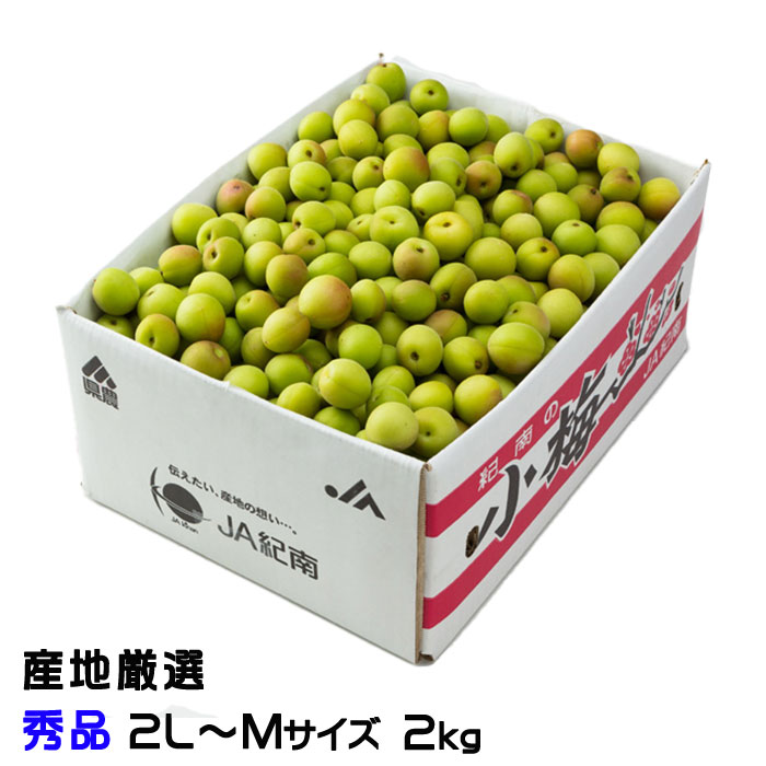   ϸ  2LM 2kg 쥷դ ߴ   