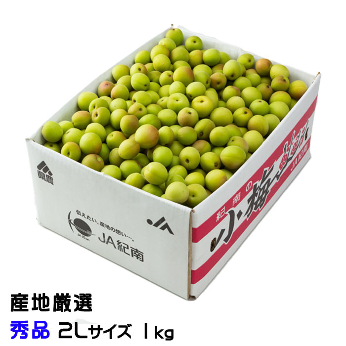 梅 小梅 産地厳選 秀品 2Lサイズ 1kg レシピ付き 梅干し用 生梅 うめ ウメ