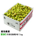 梅 小梅 産地厳選 風のいたずら 訳あり 大きさおまかせ 1kg レシピ付き 梅干し用 生梅 うめ ウメ