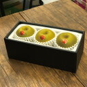 梨 新甘泉 しんかんせん 赤秀 Lサイズ 250g×3玉 鳥取県産 なし ナシ
