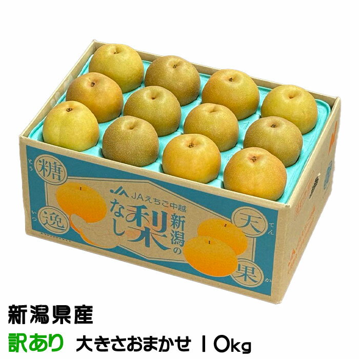 お歳暮 梨 新美月 しんみづき ちょっと訳あり 大きさおまかせ 10kg 新潟県産 なし ナシ