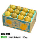 お歳暮 梨 新美月 しんみづき ちょっと訳あり 大きさおまかせ 10kg 新潟県産 なし ナシ