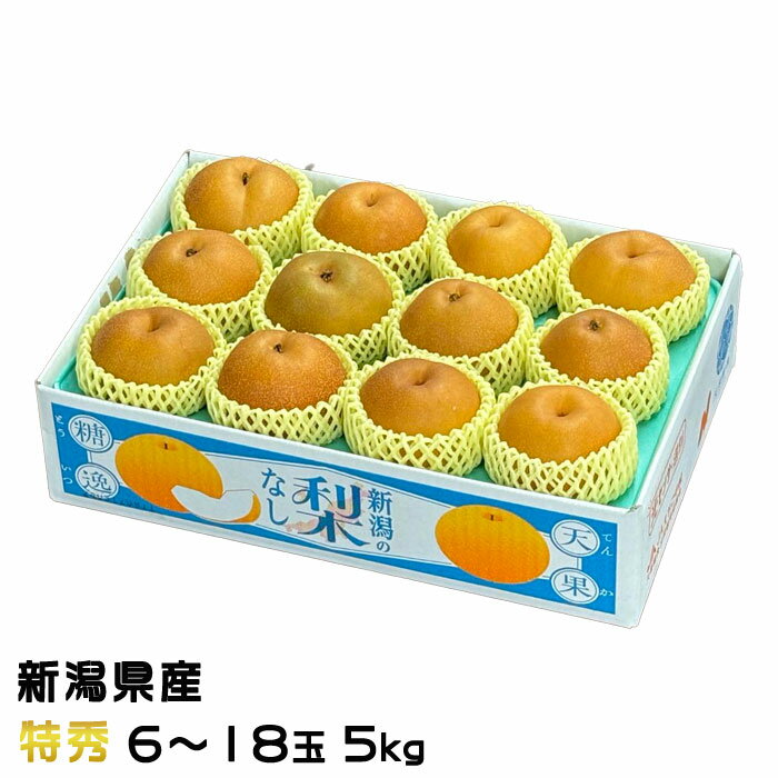梨 新美月 しんみづき 特秀 6〜18玉 5kg 新潟県産 なし ナシ