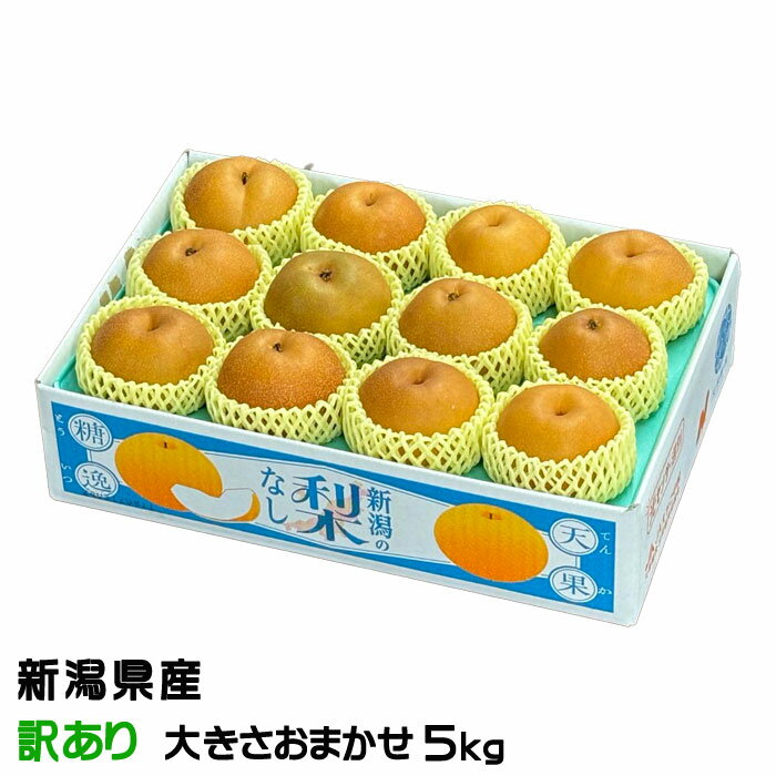 梨 新美月 しんみづき ちょっと訳あり 大きさおまかせ 5kg 新潟県産 なし ナシ