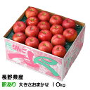 お歳暮 りんご サンふじ 風のいたずら ちょっと訳あり 大きさおまかせ 10kg 長野県産 信州高山さわやかりんご 林檎 リンゴ