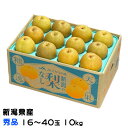 お歳暮 梨 新王 しんおう ちょっと訳あり 大きさおまかせ 10kg 新潟県産 なし ナシ
