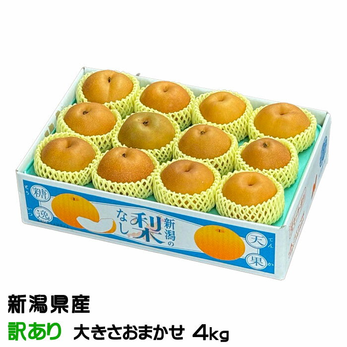    󤪤 ä 礭ޤ 4kg 㸩 ʤ ʥ 