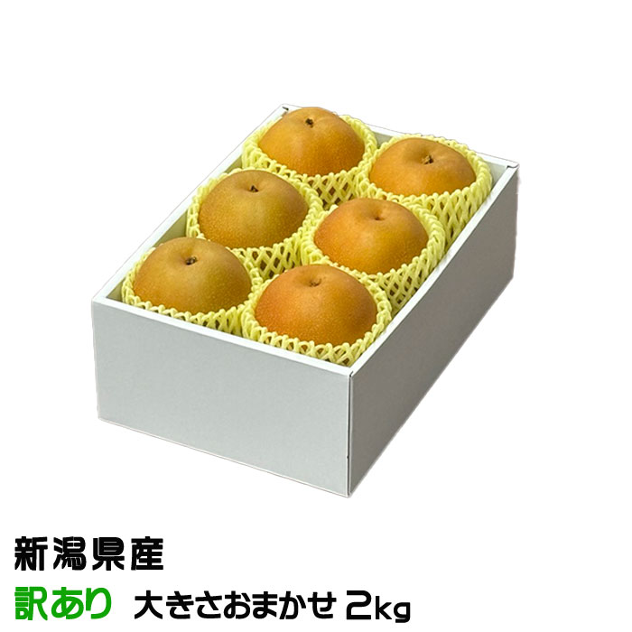    󤪤 ä 礭ޤ 2kg 㸩 ʤ ʥ