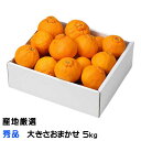 不知火 しらぬい 秀品 大きさおまかせ 5kg デコポンの品種名 産地厳選 贈り物 ギフト