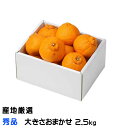 不知火 しらぬい 秀品 大きさおまかせ 2.5kg デコポンの品種名 産地厳選 贈り物 ギフト