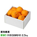 不知火 しらぬい 風のいたずら ちょっと訳あり 大きさおまかせ 2.5kg デコポンの品種名 産地厳選 贈り物 ギフト