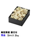根付き 砂丘らっきょう 秀品 Sサイズ 2kg 鳥取県産 JA鳥取いなば 福部産 らっきょ 作り方 レシピ付き