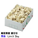 根付き 砂丘らっきょう 秀品 Lサイズ 5kg 鳥取県産 JA鳥取いなば 福部産 らっきょ 作り方 レシピ付き