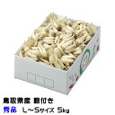 根付き 砂丘らっきょう 秀品 L~Sサイズ 5kg 鳥取県産 JA鳥取いなば 福部産 らっきょ 作り方 レシピ付き