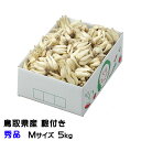 根付き 砂丘らっきょう 秀品 Mサイズ 5kg 鳥取県産 JA鳥取いなば 福部産 らっきょ 作り方 レシピ付き