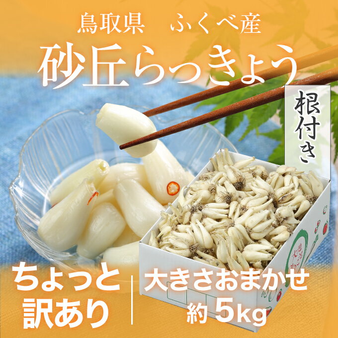 根付き 砂丘らっきょう ちょっと訳あり 大きさおまかせ 5kg 鳥取県産 JA鳥取いなば 福部産 らっきょ 作り方 レシピ付き 2