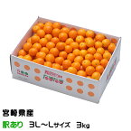 きんかん たまたま 完熟きんかん 風のいたずら ちょっと訳あり 3L～Lサイズ 3kg 宮崎県産 キンカン 金柑