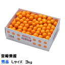 きんかん たまたま 完熟きんかん 秀品 Lサイズ 3kg 宮崎県産 キンカン 金柑