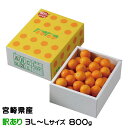 きんかん たまたま 完熟きんかん 風のいたずら ちょっと訳あり 3L～Lサイズ 800g 宮崎県産 キンカン 金柑