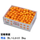 きんかん たまたま 完熟きんかん 秀品 3L〜Lサイズ 3kg 宮崎県産 キンカン 金柑