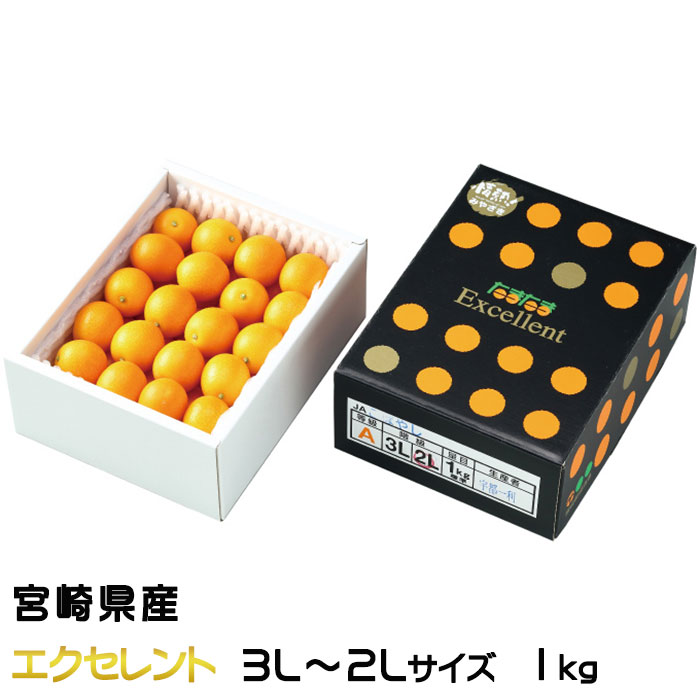 きんかん たまたま エクセレント 完熟きんかん 3L～2Lサイズ 1kg 宮崎県産 キンカン 金柑
