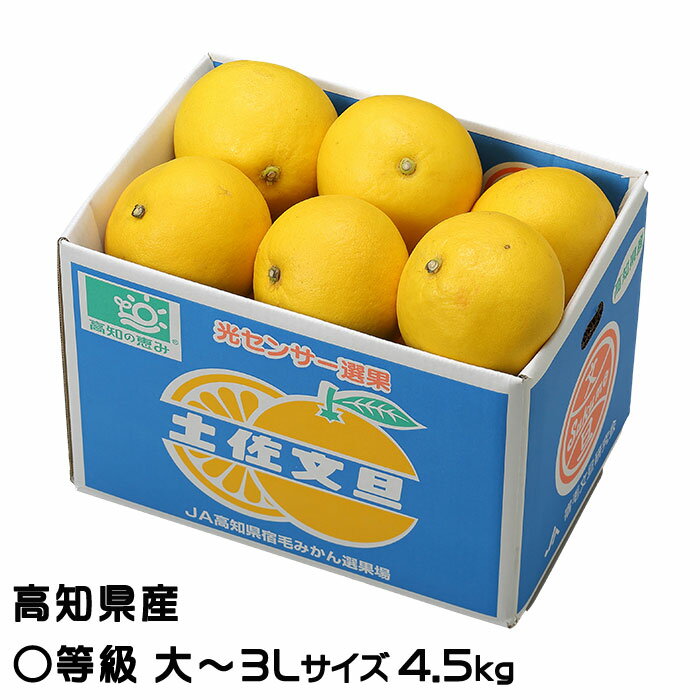 ぶんたん 宿毛文旦 すくもぶんたん 等級 大～3L 7～9玉 4.5kg 高知県産 ブンタン