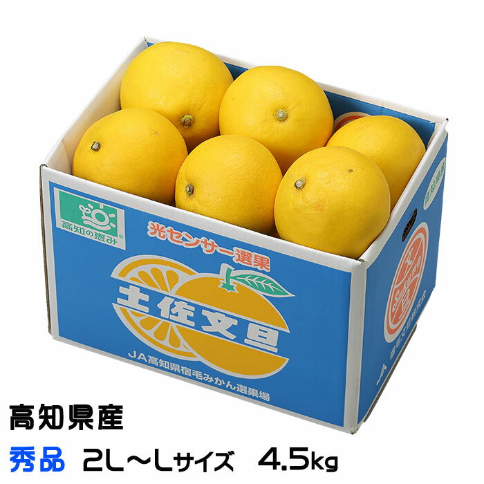 ぶんたん 宿毛文旦 すくもぶんたん 秀品 2L～L 10～12玉 4.5kg 高知県産 ブンタン