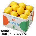 ぶんたん 土佐文旦 〇等級 2L～L 10kg 高知県産 JA高知県 ブンタン とさぶんたん トサブンタン