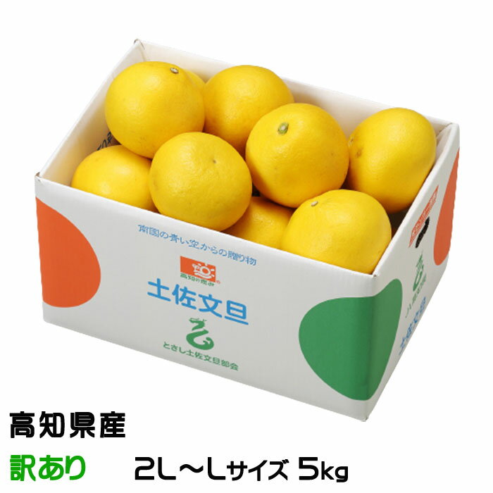 ぶんたん 土佐文旦 風のいたずら 訳あり 2L～L 5kg 高知県産 ブンタン とさぶんたん トサブンタン