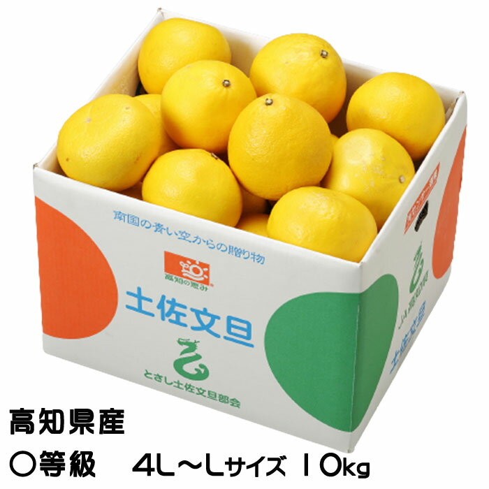 ぶんたん 土佐文旦 等級 4L～L 10kg 高知県産 JA高知県 ブンタン とさぶんたん トサブンタン