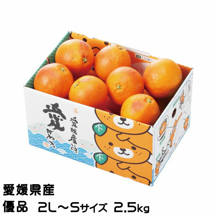 みかん タロッコオレンジ ブラッドオレンジ 優品 2L～Sサイズ 2.5kg みきゃん箱入り 愛媛県 ミカン 蜜柑