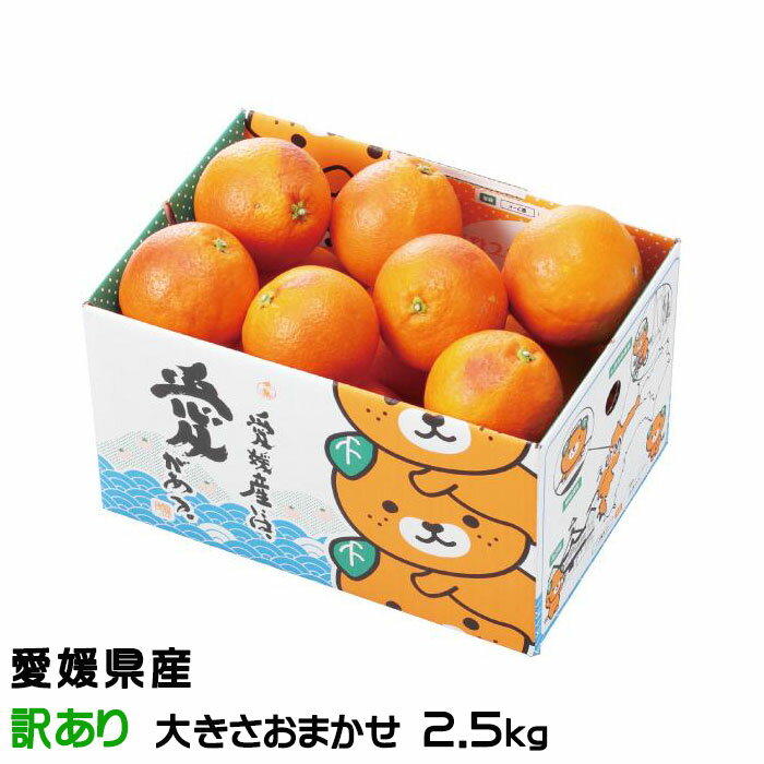みかん タロッコオレンジ ブラッドオレンジ 風のいたずら 訳あり 大きさおまかせ 2.5kg みきゃん箱入り 愛媛県 ミカン 蜜柑