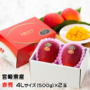 ■□マンゴー 太陽のタマゴ 赤秀 4L 500g以上×2玉 JA宮崎経済連 宮崎県産 完熟マンゴー 太陽のたまご ギフト お取り寄せグルメ