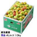梅 南高梅 産地厳選 秀品 4Lサイズ 10kg なんこう うめ 生梅