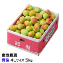 梅 南高梅 産地厳選 秀品 4Lサイズ 5kg なんこう うめ 生梅