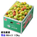 梅 南高梅 産地厳選 秀品 Mサイズ 10kg なんこう うめ 生梅