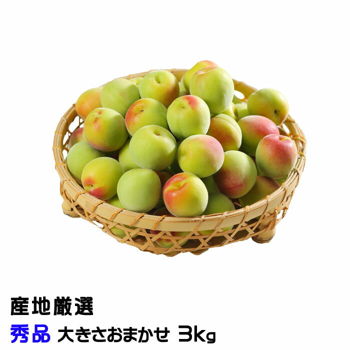 南高梅 青梅紅南高梅 3L-4L 3キロ みっちぃー様専用 - メルカリ