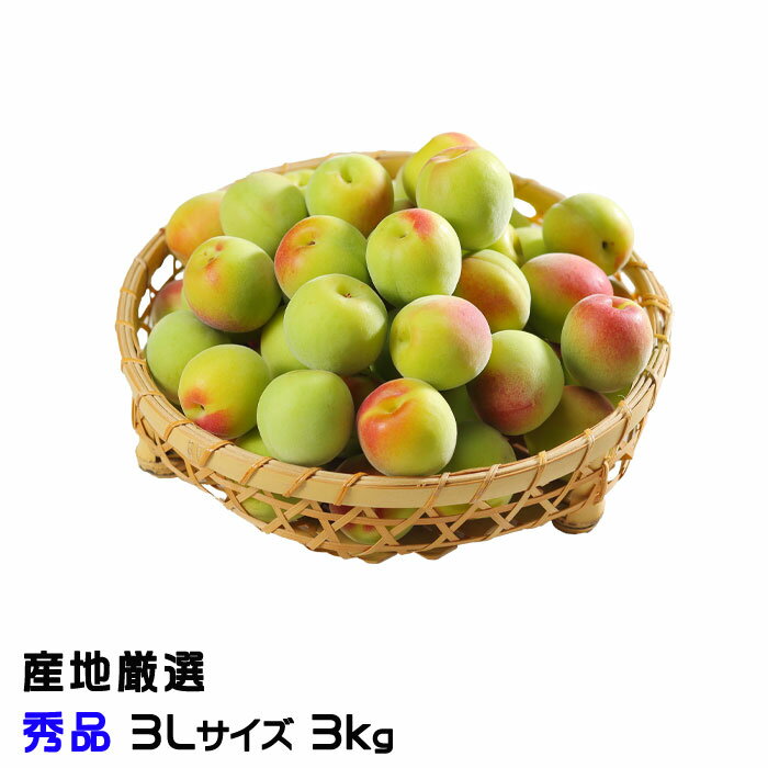 梅 南高梅 産地厳選 秀品 3Lサイズ 3kg なんこう うめ 生梅