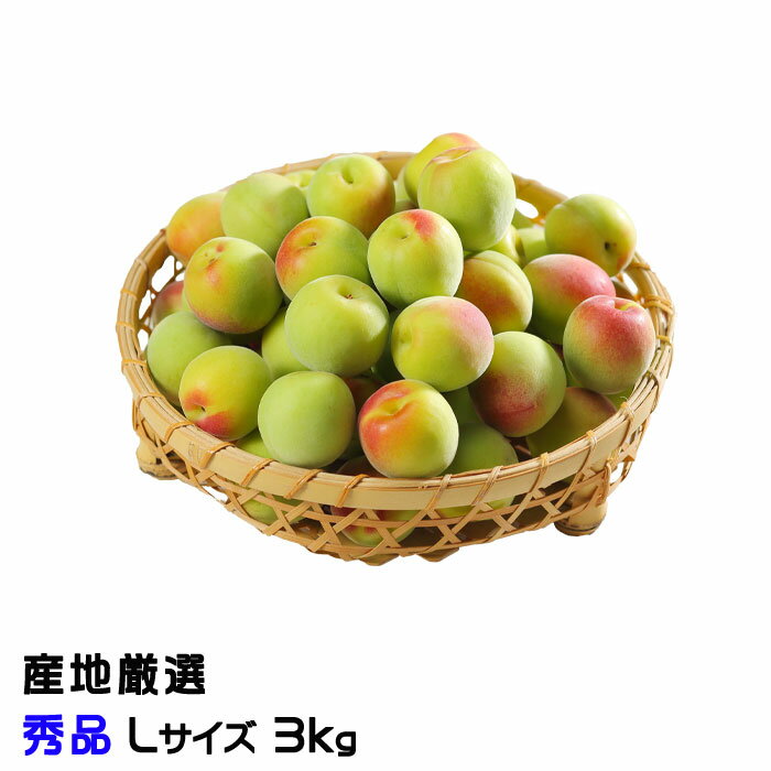梅 南高梅 産地厳選 秀品 Lサイズ 3kg なんこう うめ 生梅のサムネイル